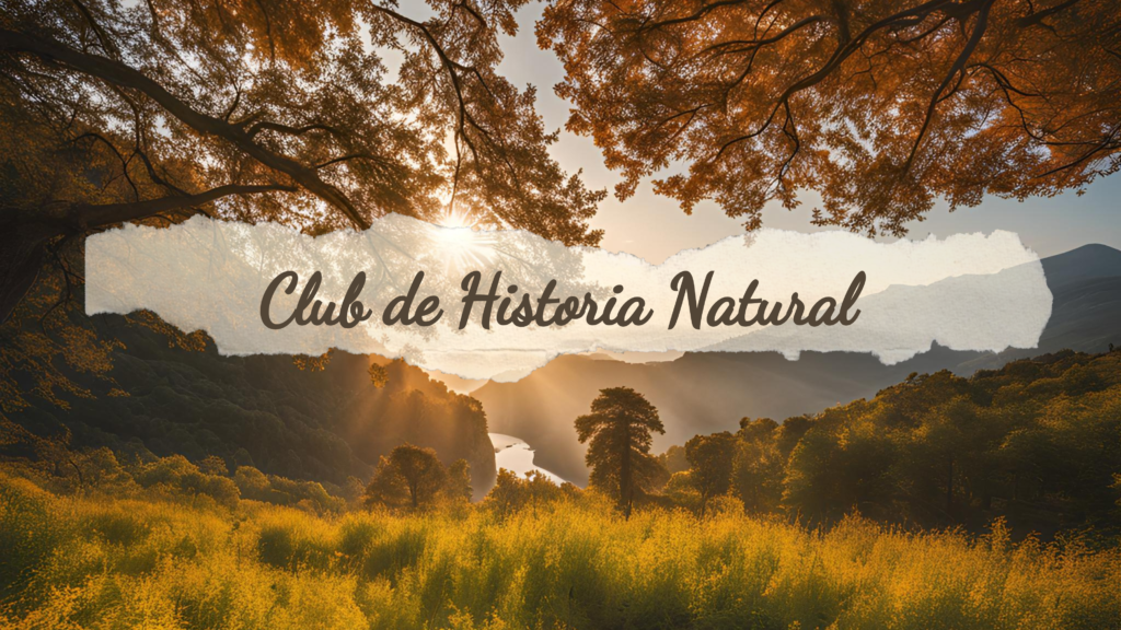 Club de historia natural para niños