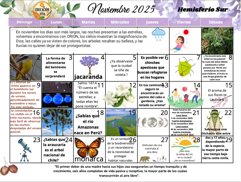 Calendario de Observaciones Noviembre 2025 Zona Sur