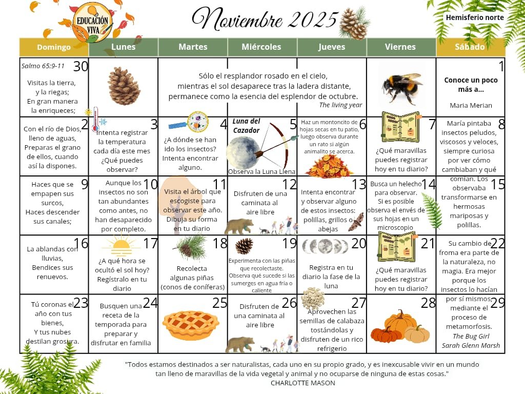 Calendario para Observaciones Noviembre 2025