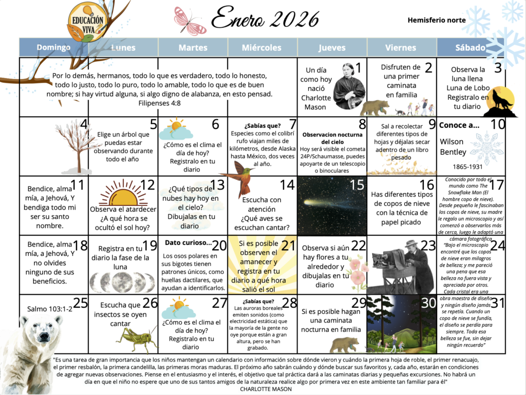 Calendario de observaciones 2026