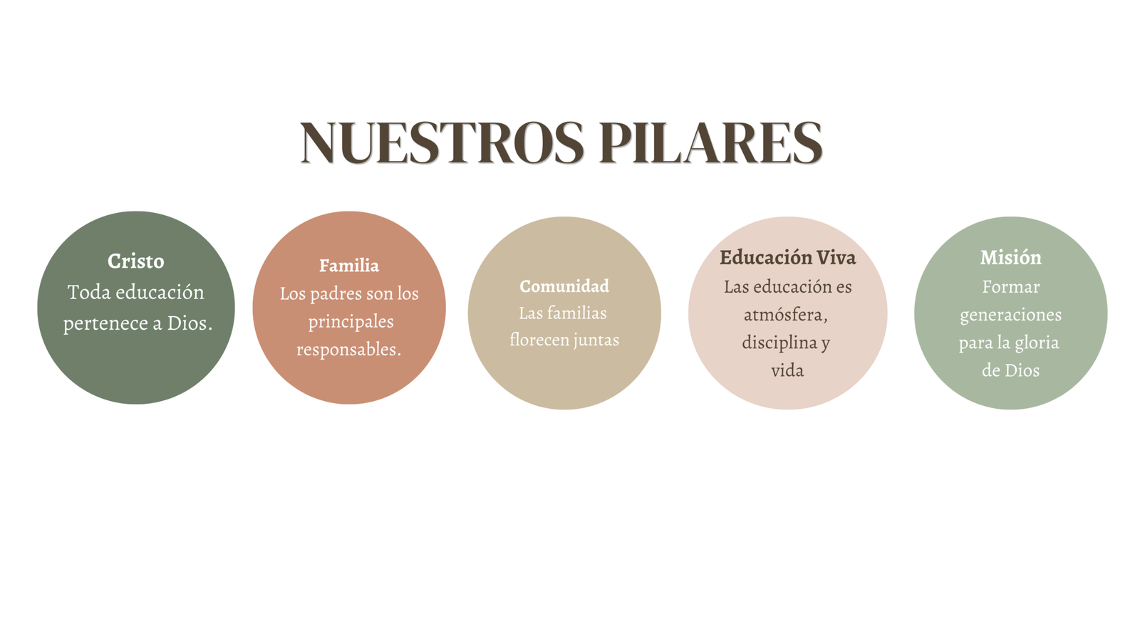 Movimiento Educación Viva