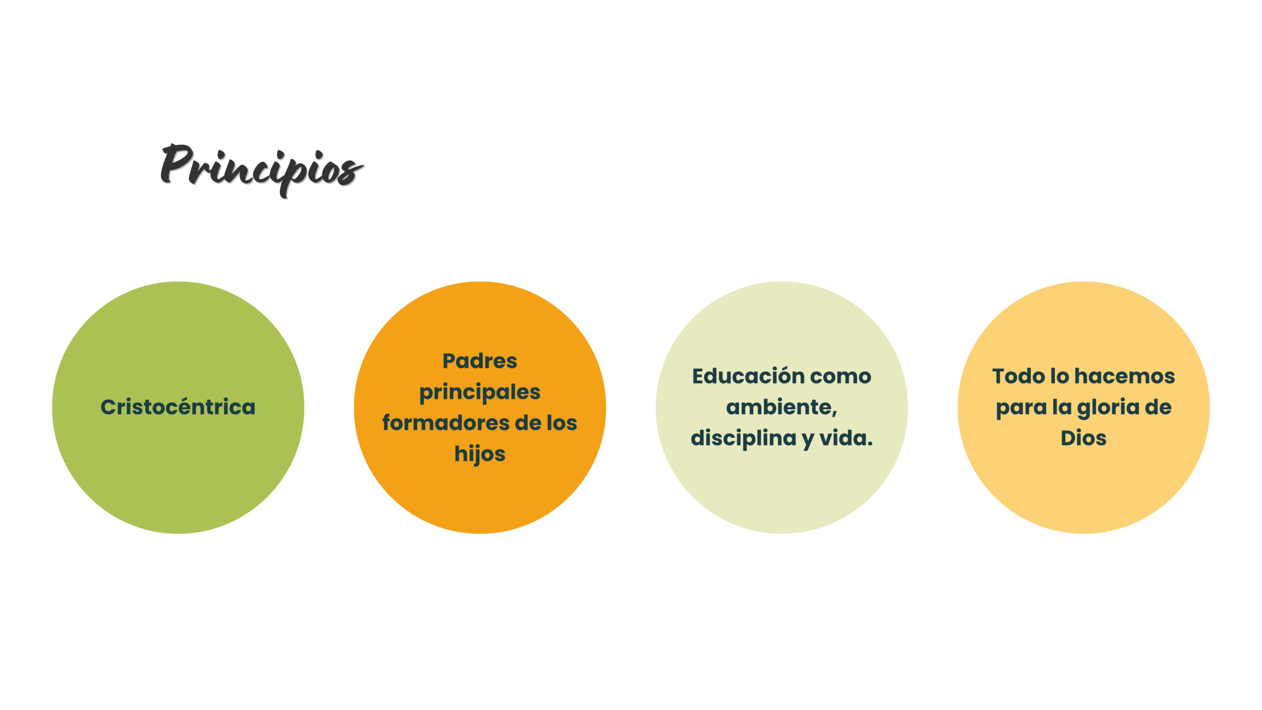 Comunidades locales Educación Viva